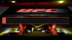 UFC собирает звёзд на Freedom 250: Топурия, Перейра и Гейджи на вечеринке у Белого дома