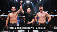 Махачев дожал Гарри на UFC 330
