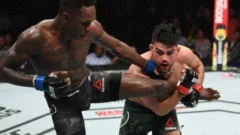 Ставки на тейкдауны в UFC: плюсы и минусы, советы новичкам