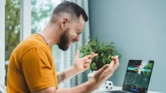 Как делать ставки на спорт в режиме онлайн?