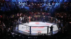 Как ставить на UFC в букмекерской конторе?