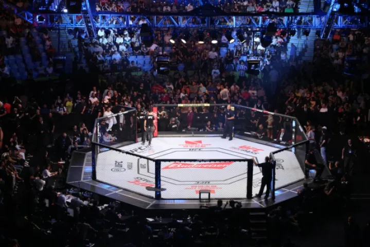 Как ставить на UFC в букмекерской конторе?