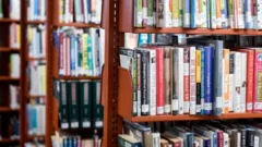 Топ-10 книг о ставках: пособия по стратегиям и секреты букмекеров