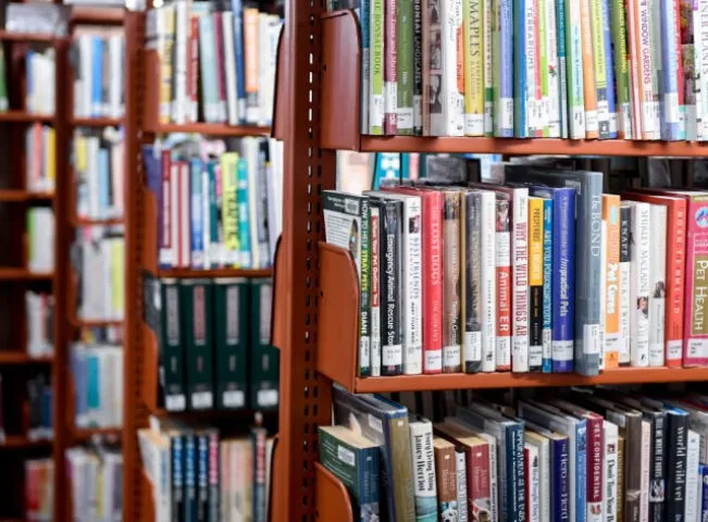 Топ-10 книг о ставках: пособия по стратегиям и секреты букмекеров