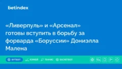 «Ливерпуль» и «Арсенал» готовы вступить в борьбу за форварда «Боруссии» Дониэлла Малена