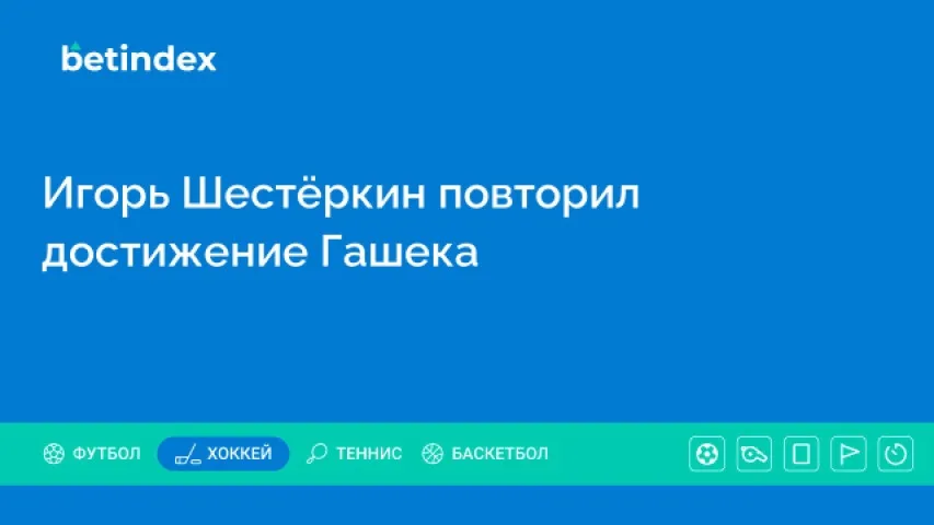 Игорь Шестёркин повторил достижение Гашека