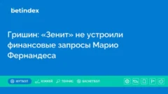 Гришин: «Зенит» не устроили финансовые запросы Марио Фернандеса