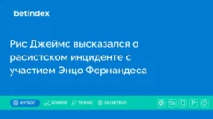 Рис Джеймс высказался о расистском инциденте с участием Энцо Фернандеса