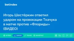 Игорь Шестёркин ответил ударом на провокации Ткачука в матче против «Флориды» (ВИДЕО)