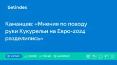 Каманцев: «Мнения по поводу руки Кукурельи на Евро-2024 разделились»