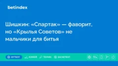 Шишкин: «Спартак» — фаворит, но «Крылья Советов» не мальчики для битья