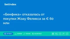 «Бенфика» отказалась от покупки Жоау Феликса за € 60 млн