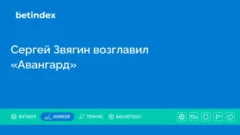 Сергей Звягин возглавил «Авангард»