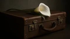 Джудит Чалмерс умерла в 90 лет после болезни Альцгеймера