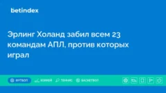 Эрлинг Холанд забил всем 23 командам АПЛ, против которых играл