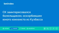 СК заинтересовался болельщиком, оскорбившим юного хоккеиста из Кузбасса