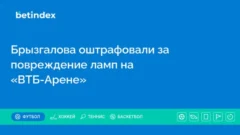 Брызгалова оштрафовали за повреждение ламп на «ВТБ-Арене»