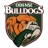 Оденсе Бульдогс